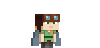 Elytra icon